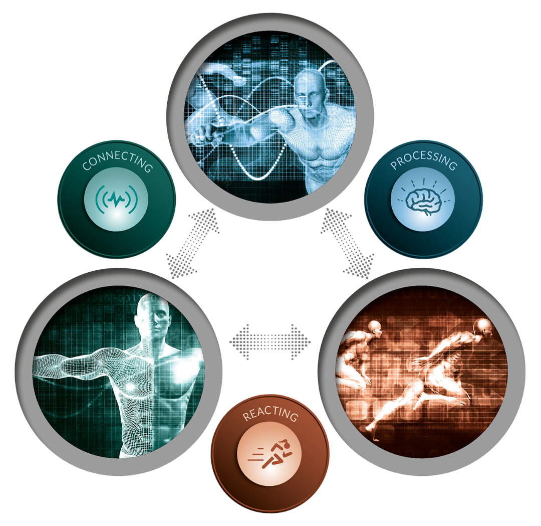 Neuroreactive Phases
